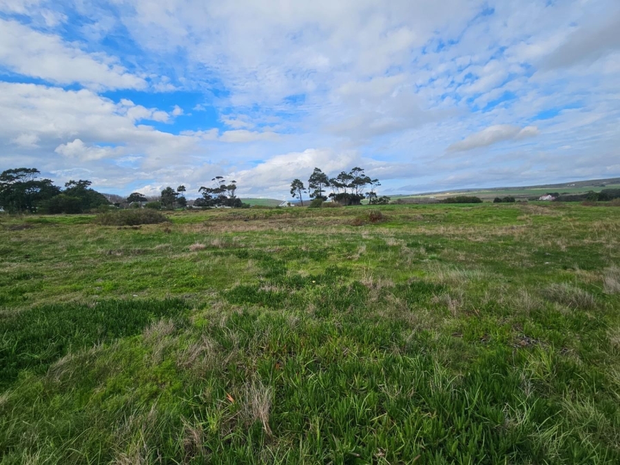 Commercial Property for Sale in Baardskeerdersbos Western Cape